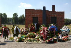 2013_2. August_Matucci_10