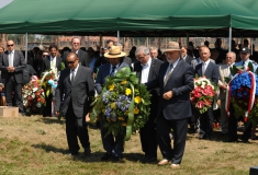 2013_2. August_Matucci_7