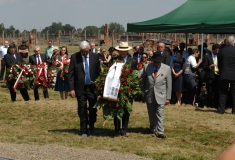 2013_2. August_Matucci_8