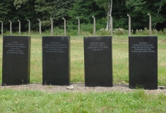 2013_Krematorium V_Matucci
