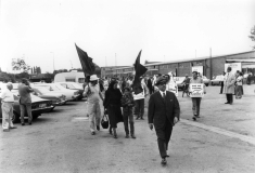 Demo72VinzenzRose1
